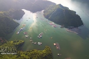 和平水电站库区（富寿省）湖水碧绿清澈、景观雄伟，成为游客不容错过的目的地。图自越通社