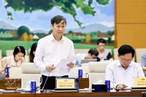 国会常务委员会第六次会议：为知识产权登记创造便利条件