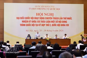 国会常务副主席杜文战发表讲话。图自越通社