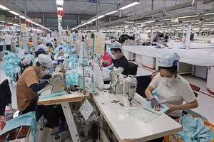位于庆和省潘朗的进顺成衣公司（越进成衣股份总公司）投资购置多台现代化机器，以提高产量和产品质量。图片：陈越/越通社