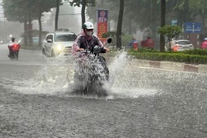 10月8日下午大雨导致同奈市镇边坊阮爱国街严重受淹。