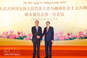 2025年8月31日，越南国会主席陈青敏与中国全国人大常委会委员长赵乐际在河内共同主持越南国会与中国全国人大联合委员会第一次会议。图自越通社