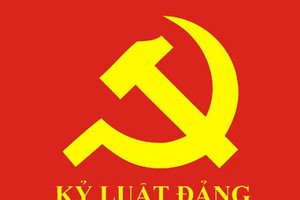 中央检查委员会建议对胡志明市计划与投资厅原副厅长给予纪律处分