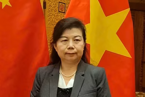 中国人民大学重阳金融研究院研究员刘英接受越通社驻中国记者采访。图自越通社