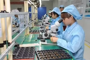 Vietonic公司工人在发货前对产品质量进行检验。图自越通社
