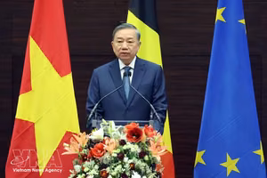 越南党中央总书记、国家主席苏林在埃格蒙特皇家国际关系研究所发表施政演讲 图自越通社