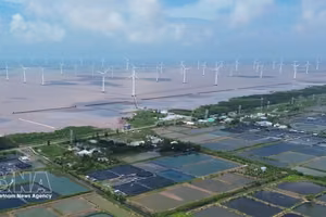 金瓯省东海乡海上风电项目。图自越通社