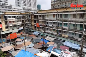 永会公寓A、B、C三栋的检测结果均被评定为D级，这是建筑危险程度最高的等级，存在极大的安全隐患。