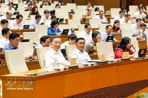 党中央总书记、国家主席苏林出席会议。图自越通社