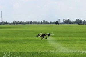 安江省农民使用无人机。图自越通社