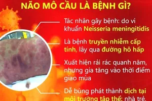 Cà Mau ghi nhận 2 ca mắc viêm não mô cầu, 1 người tử vong