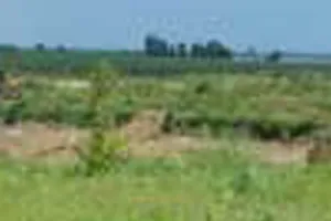 Kiểm điểm Bí thư xã luồn lách chiếm đất không nộp tiền sử dụng đất 