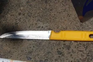 Vợ 71 tuổi đâm chết chồng rồi đi tự thú