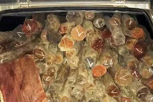 Bắt xe ô tô 2 biển số chở gỗ lậu trong đêm