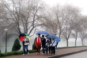 Miền Bắc sắp đón đợt lạnh kèm mưa vào ngày 8-3