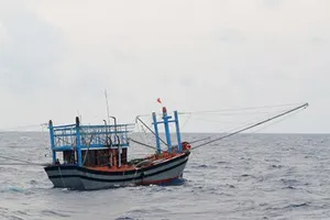 Một ngư dân Bình Định tử vong do tai nạn lao động trên biển