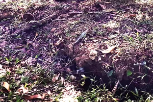 Trên đỉnh núi Goi Ra Hách có trên 10 điểm bị nứt, dài hàng chục mét, miệng nứt hở con người chui lọt.