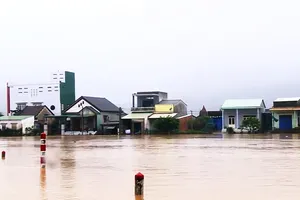 Mưa lũ gây thiệt hại nặng nề tại Bình Định