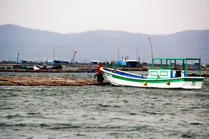 “Thủ phủ” thủy sản Sông Cầu báo động trước cơn bão số 6 