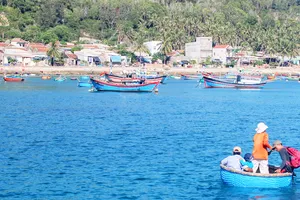 Bình Định tạm dừng hoạt động đón khách tham quan đảo Cù Lao Xanh