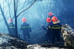 Vật vã khống chế đám cháy trên núi Bà Hỏa