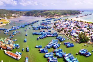 Bình Định: Trên 630ha đất thúc đẩy phát triển các doanh nghiệp nhỏ và vừa