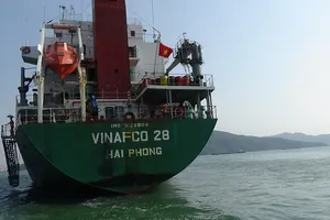 Hai tàu hàng tông nhau trên biển: Đại diện tàu hàng VINAFCO 28 khai gì?
