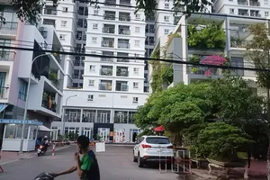 Người phụ nữ rơi từ tầng 15 tòa chung cư ở TP Quy Nhơn