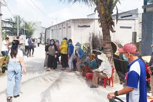 Bình Định: Người dân "tố" xưởng chế biến mực bốc mùi hôi thối