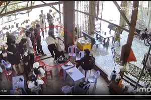 Bình Định: Xác minh vụ nữ sinh bị hành hung