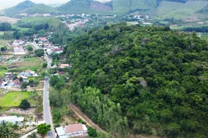 Ngôi làng "cất giấu" rừng Cấm ở thượng sông Kôn