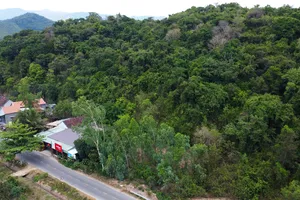 Ngôi làng truyền đời gìn giữ "lá phổi xanh"