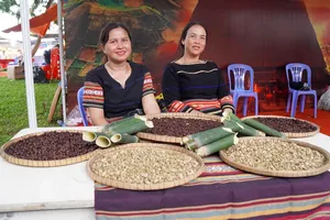 Độc đáo lễ hội "Món ngon từ đất bazan và biển” ở Gia Lai