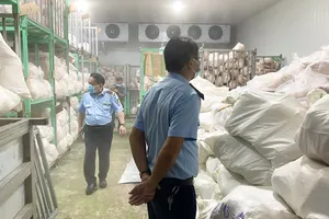 Gia Lai: Phạt 90 triệu đồng cơ sở gom hơn 100 tấn thịt heo không rõ nguồn gốc