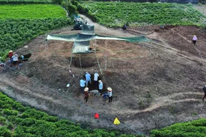 Bí ẩn phế tích tháp cổ khoảng 1.000 năm tuổi ở Gia Lai