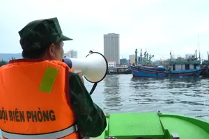 Gia Lai, Quảng Ngãi chủ động ứng phó bão số 12: Hướng dẫn tàu thuyền trú bão an toàn