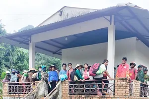 Quảng Ngãi: Di dời khẩn 61 hộ dân khỏi khu vực có nguy cơ sạt lở