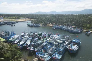 Gia Lai: Hơn 8 tỷ đồng hỗ trợ 424 tàu cá nằm bờ 