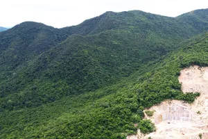 Chuyển đổi hơn 80ha đất rừng để phục vụ 7 dự án tại Gia Lai