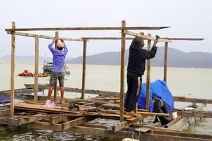 Gia Lai cấp tập ứng phó bão số 15