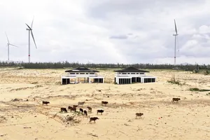 Chưa chấm dứt khu resort 5 sao ở biển Nhơn Lý - Cát Tiến vì vướng tranh chấp dân sự phức tạp