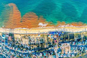 Cơ quan chuyên môn báo cáo nguyên nhân nước biển đỏ ở Gia Lai