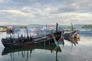 Điều tra nguyên nhân vụ cháy 8 tàu cá ở cảng Tam Quan