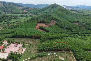Ba vị trí nghi có mộ liệt sĩ tại khu vực đồi Xuân Sơn. Ảnh: DŨNG MAN