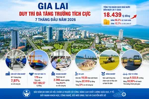 Gia Lai thu ngân sách trong 7 tháng đạt hơn 18.400 tỷ đồng