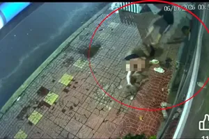 Công an xác minh vụ người phụ nữ bị chồng đánh trên vỉa hè lúc giữa đêm