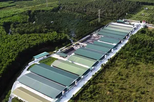 Gia Lai: Phát triển tổ hợp chăn nuôi công nghệ cao quy mô lớn 