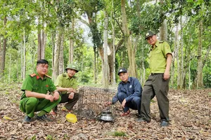 Vườn Quốc gia Kon Ka Kinh đẩy mạnh số hóa quản lý, bảo vệ rừng