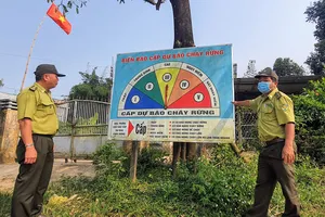 Kiểm lâm Phú Yên gặp nhiều khó khăn vì chưa có con dấu mới