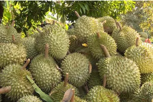 Sầu riêng, bưởi, chanh leo sẽ xuất khẩu sang Trung Quốc